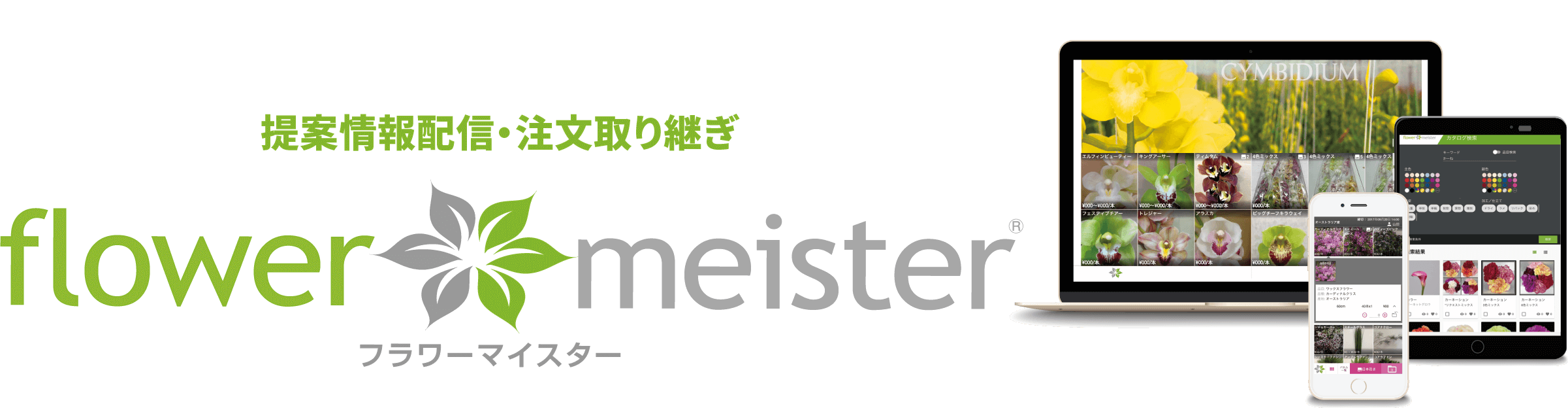 flowermeister-intro