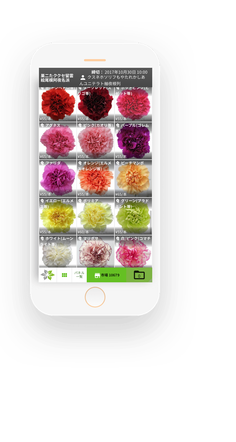 flower meister on mobile
